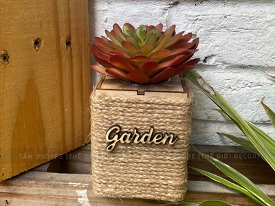 Chậu sen đá vuông quấn dây thừng để bàn [Nhiều kiểu] CHAUCAYGIA-20